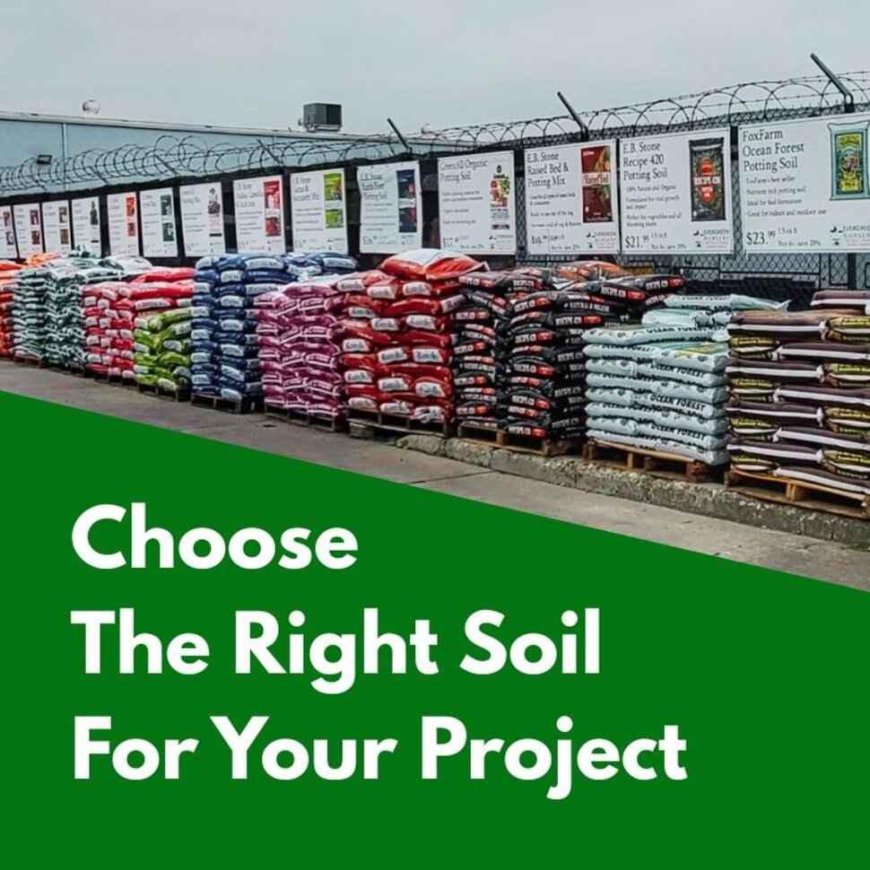 Potting Soil vs Garden Soil: East Bay Guide