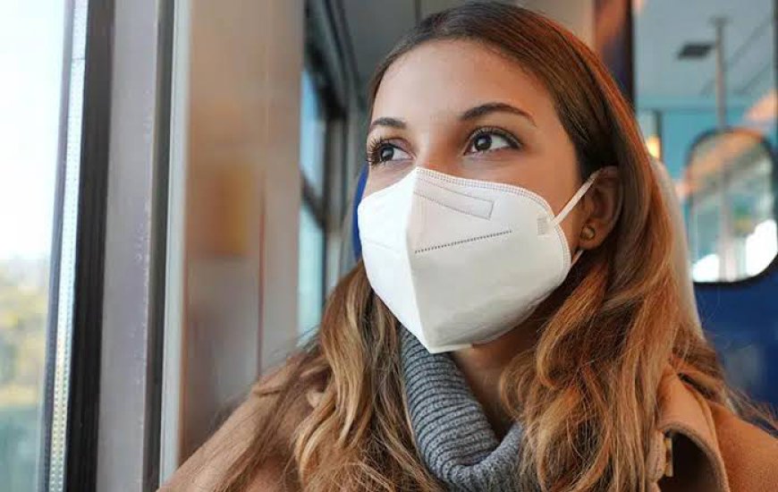 Surgical Mask and Respirator Market: Size, Trends, and Strategic Insights 2026-2033