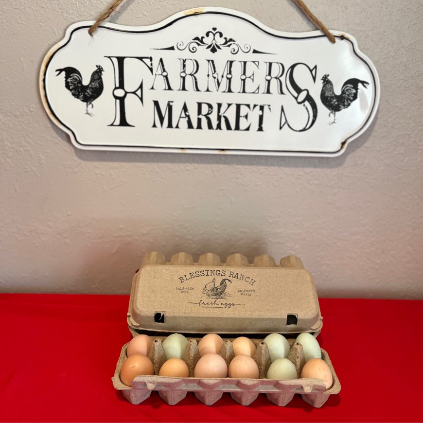How to Choose High-Quality Eggs at Your Local Farm or Market?