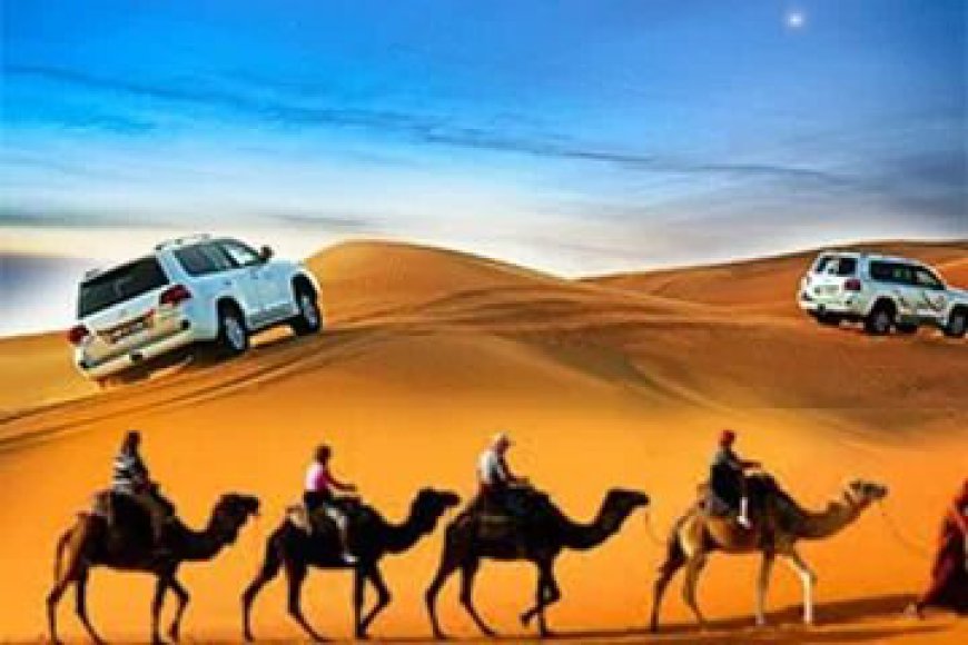 Tours From Marrakech: Unforgettable Journeys Across Morocco