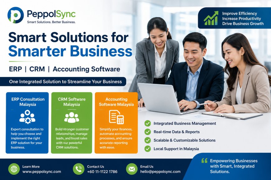How to Choose the Best ERP Consultation Malaysia for Your Business ?