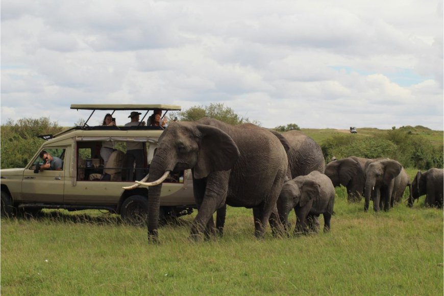 Step-by-Step Tips for First-Time Travelers to Kenya