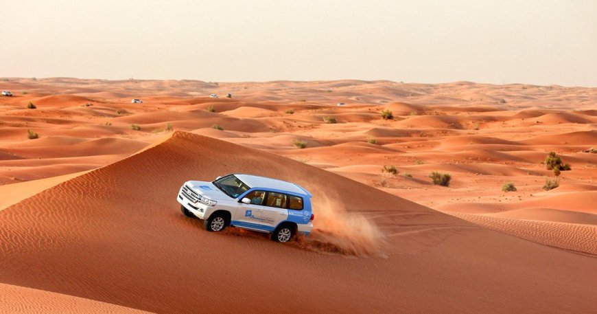 How Do You Choose the Best Desert Safari in Dubai 2026 ?