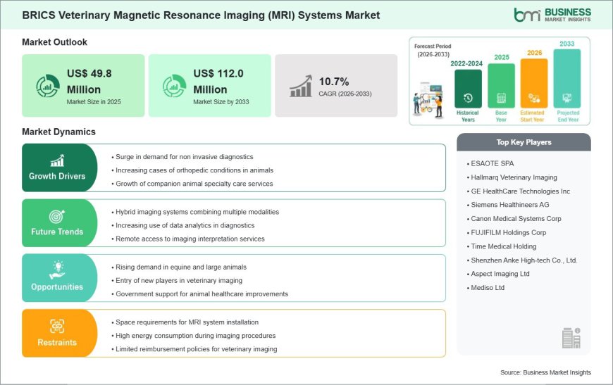 BRICS Veterinary Magnetic Resonance Imaging (MRI) Systems Market  aize