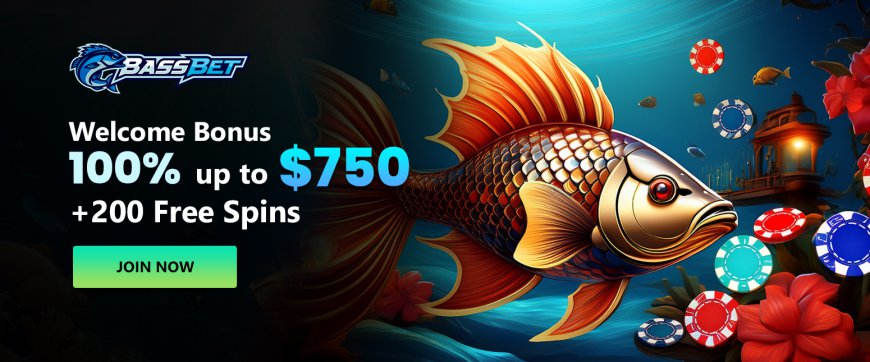 Bassbet Casino Makes Gamified Rewards Simple to Use