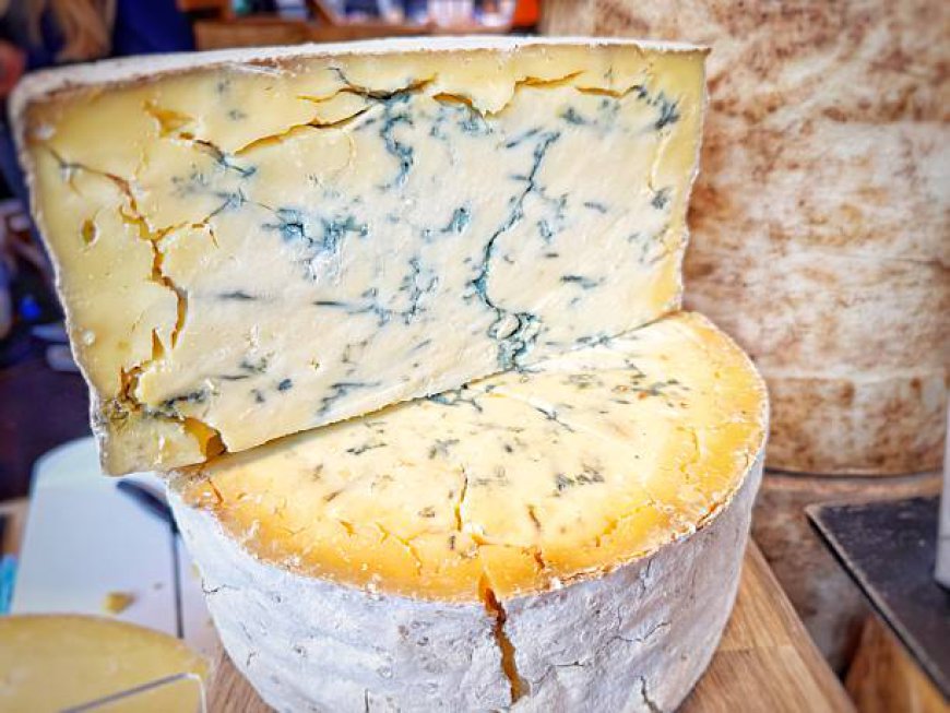 Why Blue Cheese Is Becoming a Favorite in Modern Food Culture