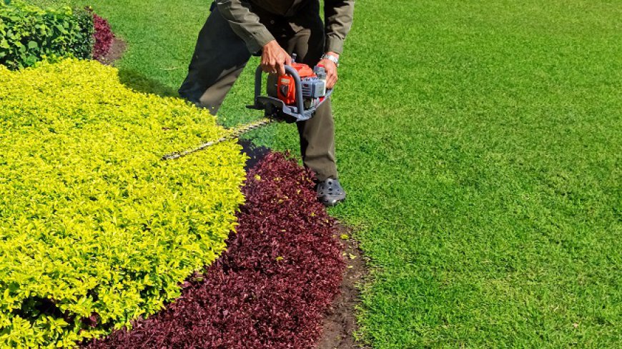How Does Weather Affect Lawn Trimming Schedules?