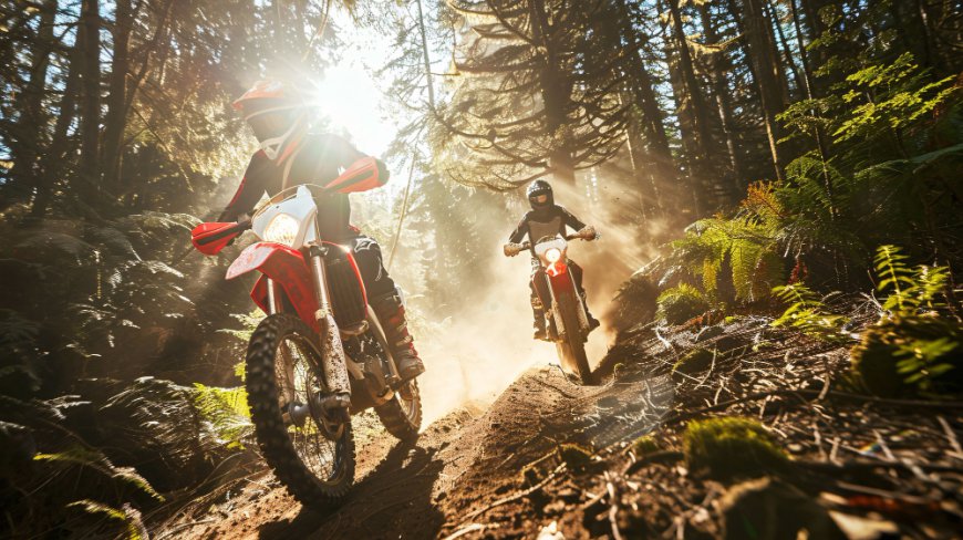Adventure Motorcycle Market Size, Trends, and Growth Forecast 2026-2033