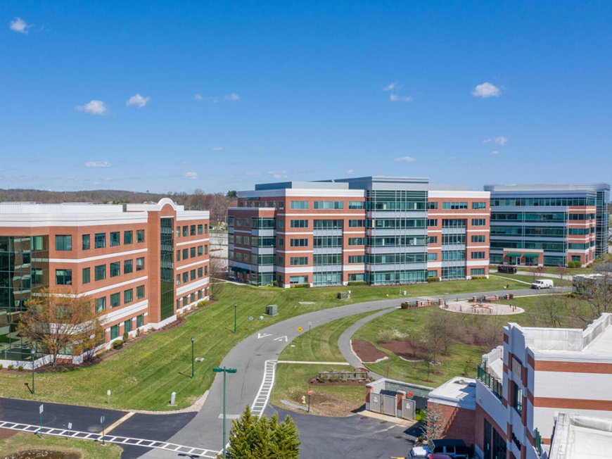 Finding Commercial Office Space for Rent That Fits Your Needs
