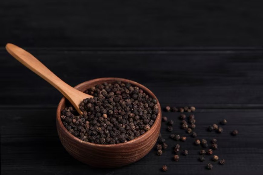 Black Pepper Wholesale Price in Germany: Understanding Quality, Supply, and Reliable Sourcing