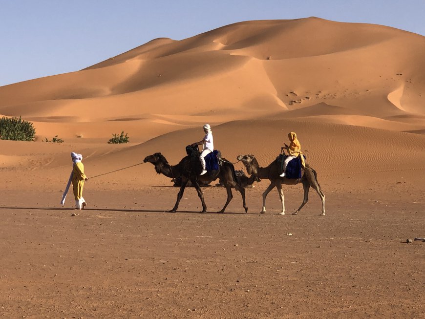 Morocco Desert Tours – Discover the Magic of the Sahara Desert