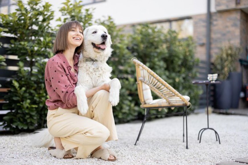 How Can Pet Sitters New Orleans Keep Your Dog Happy at Home?