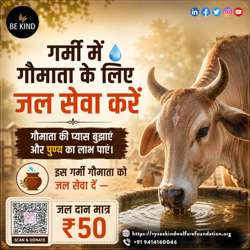 cow foundation