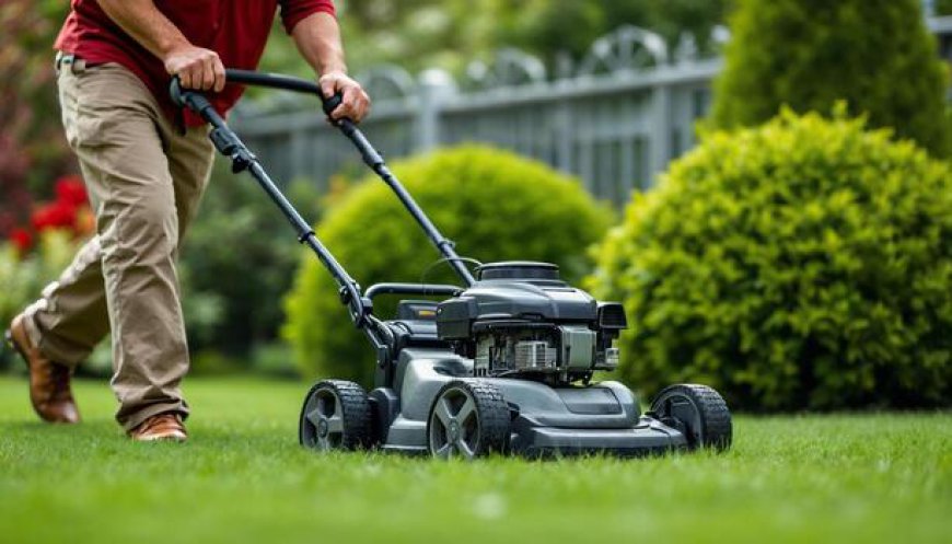 DIY vs Professional Lawn Mowing: What's Better for Vancouver Homes