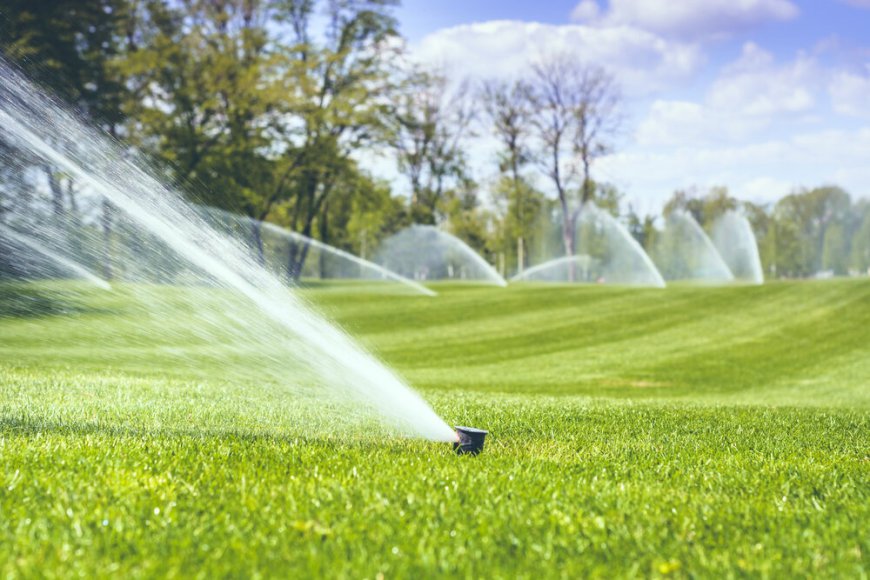 How Do You Choose the Right Lawn Sprinkler Irrigation System for Your Yard?