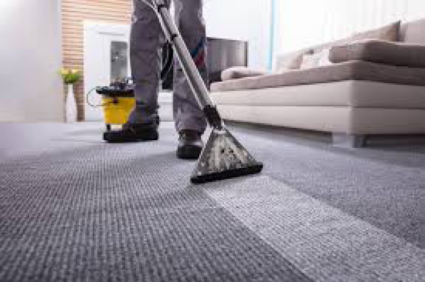 Carpet Cleaning Services Supporting Homes That Prefer Regular Cleaning