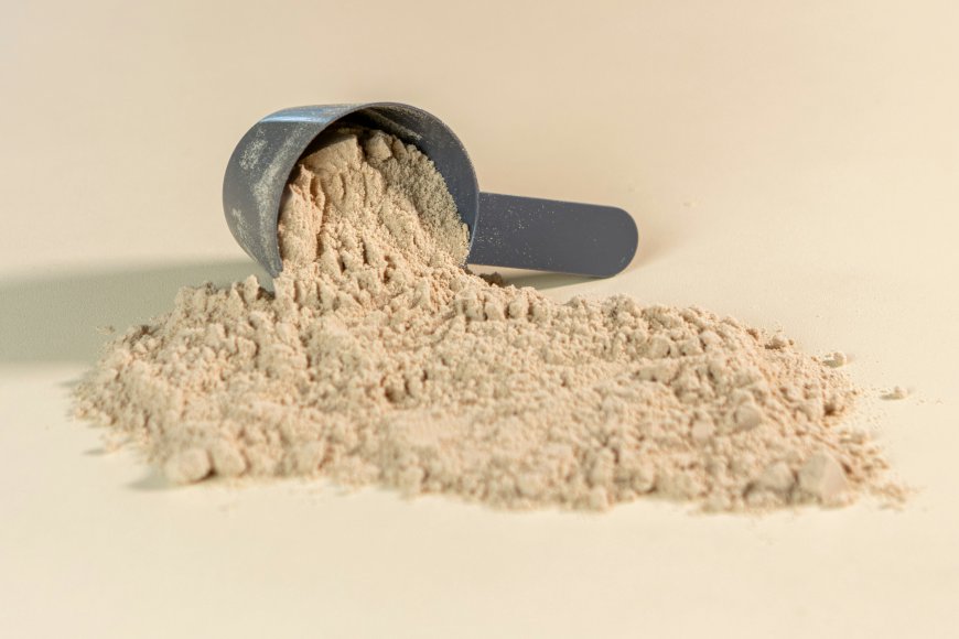 US Protein Supplements Market Growth, Trends, and Strategic Outlook 2026-2033