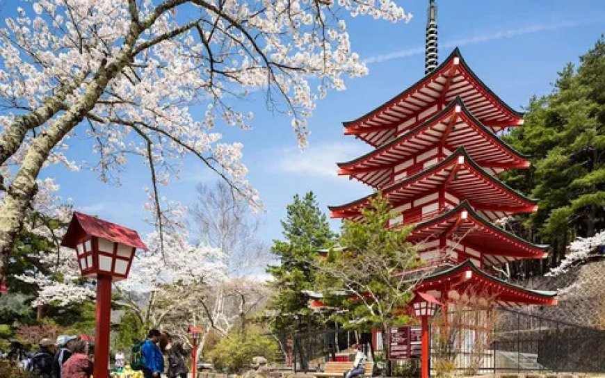 Japan Travel: Your Complete Guide to Exploring the Land of the Rising Sun