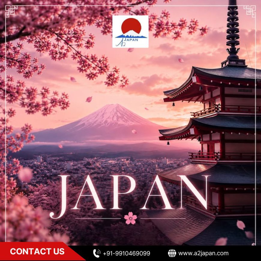 Best Cherry Blossom Tour Packages: Experience Japan's Most Beautiful Season