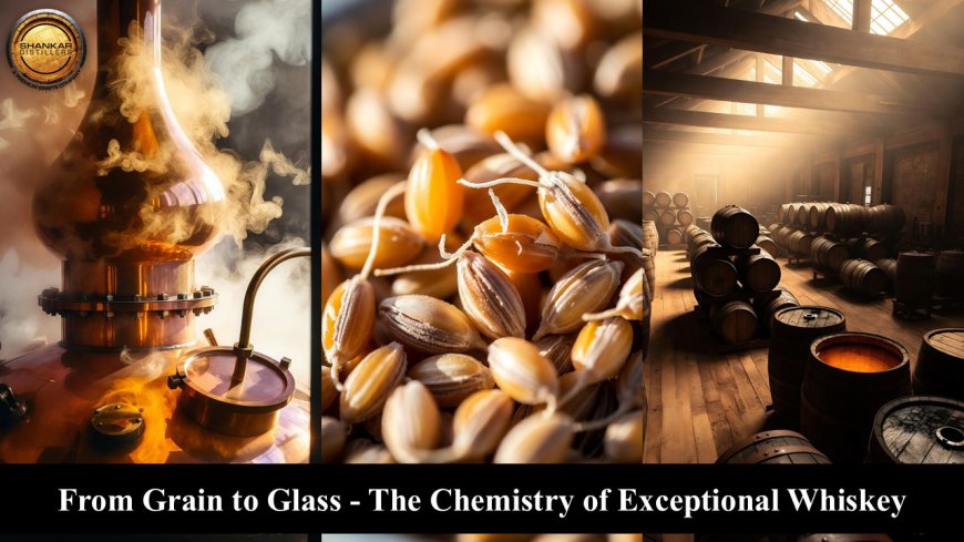 How Do Whiskey Makers Turn Grain Chemistry into Exceptional Flavor?