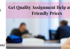 Capital Market Analysis Ratios Assignment Help – Assessing a Company's Investment Potential