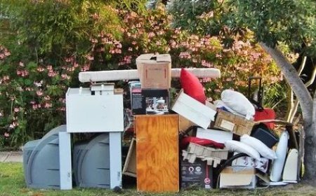 How Home Junk Removal Helps Create a Healthier Home Environment