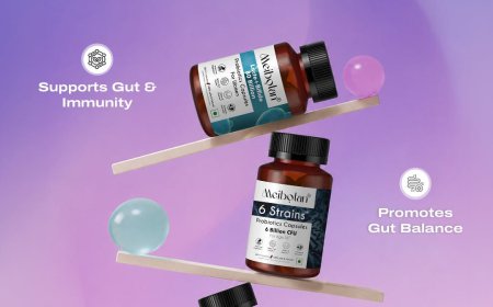 Meibotan Offers Trusted Health Food Supplements for Everyday Wellness Support