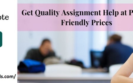 Capital Market Analysis Ratios Assignment Help – Assessing a Company's Investment Potential