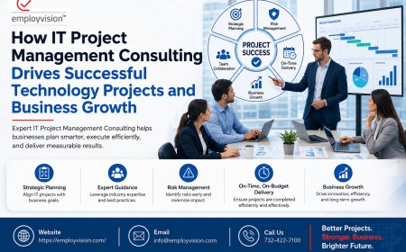 How IT Project Management Consulting Drives Successful Technology Projects and Business Growth