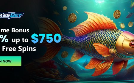 Casino Bassbet: Pick the Right Online Casino in Minutes