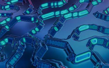 Global Organ On A Chip Market Size, Growth, and Strategic Insights