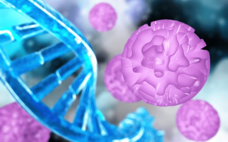 Propionic Acidemia Therapeutic Market Size, Trends, and Growth Analysis 2026-2033