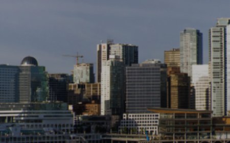 Vancouver Pest Control Experts Providing Fast, Safe & Long-Term Pest Solutions