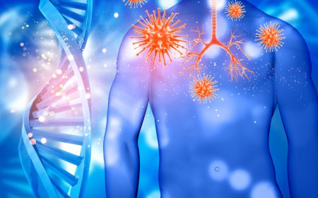 Systemic Amyloidosis Therapeutic Market Size, Trends, and Growth Insights