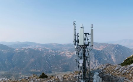 How Terrain Shapes Industrial Wireless Network Design
