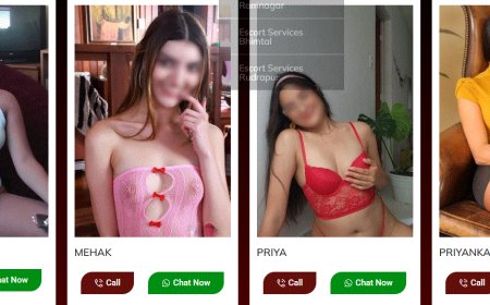 escort service in jim corbett