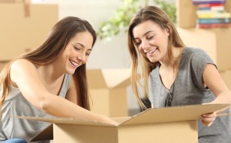 Moving House in Hamilton: A Complete Guide for a Smooth and Stress-Free Relocation