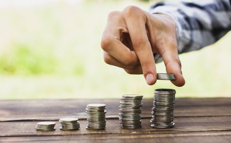 Mutual Fund Investment in India: How to Invest Online with SIP Plan