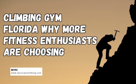 Climbing Gym Florida Why More Fitness Enthusiasts Are Choosing