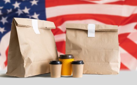 On-the-Go Packaging Market Size, Trends, and Growth Forecast 2026-2033