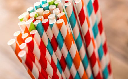 Global Paper Straw Market Size, Trends, and Growth Forecast 2026-2033