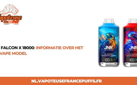 JNR Falcon X 18000: Informatie over het 18K Vape Model
