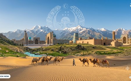 Uzbekistan Travel Guide: A Practical Journey Through Silk Road Cities