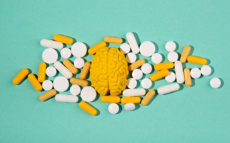 United States Brain Health Supplements Market Size, Trends, and Growth Outlook