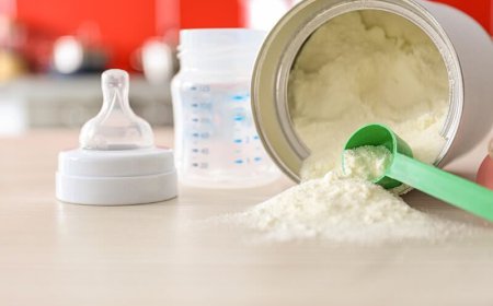 United States Infant Formula Market Size, Trends, and Growth Analysis 2026-2033