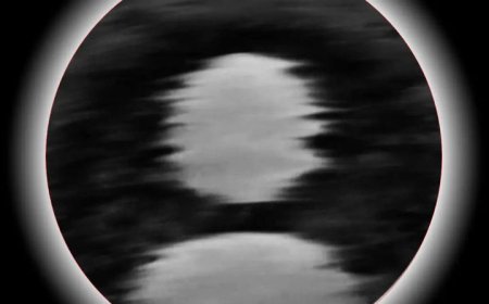 Download Camera Raw: Professional RAW Image Processing
