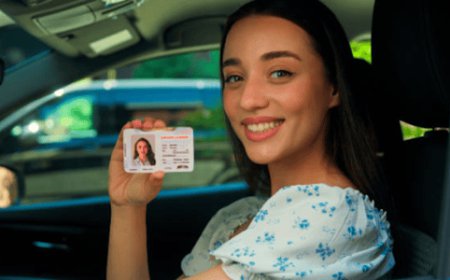 Common Reasons for License Suspension in Colorado and How to Reinstate It