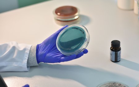 Global Antimicrobial Additives Market Size, Trends, and Strategic Outlook 2026-2033
