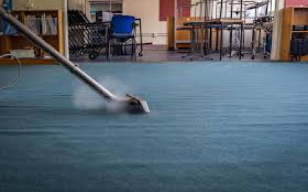 Carpet Cleaning Services Supporting Homes With High Traffic Floors