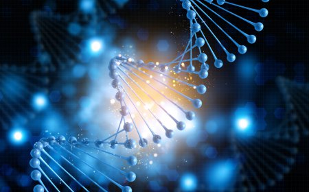 Rapid Expansion Expected in RNA Therapeutics Market by 2033